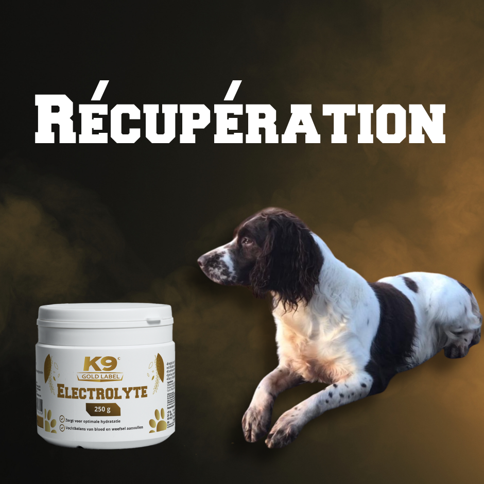 Compléments pour la récupération – K9 Gold Label